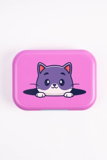 Cocobee Bento Lunch Box, 765Ml, Bpa-Free, Leakproof With Silicone Seal &amp; Removable Tray  &ndash; Pink