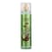Cosmo Delicious Kunafa Pistachio Chocolate Fragrance Mist 250ml, Kunafa Parfum, Cocoa, Nutty &amp; Sweet Dessert Scent, Gourmet Body Spray, Perfect For Everyday Wear, Long Lasting Perfume For Women &amp; Men