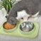 MahMir&reg; Cat Food and Water Bowls, Bowls Non-Skid and Non-Spill Silicone Mats with Stand, Removable Stainless Steel Water Dishes for Cats, Small Size Dogs (Olive Green)