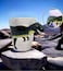 Adorable Animal Mugs: 3D Ceramic Cups with Cute Animal Handles T-Rex (Gift for Animal Lovers!)