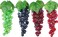 HOOTO 4 Bunches Artificial Grapes, Simulation Decorative Lifelike Rubber Fake Plastic Frosted Grapes Clusters for Wedding Fruit Wine Kitchen Centerpiece D&eacute;cor Photo Props 60 Grains 24CM