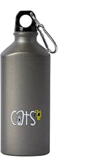 Biggdesign Aluminum Water Bottle, Insulated Thermos Water Bottle With Lid and Carabiner Clip, BPA Free and Leak Proof, Cats Design, 20 oz (600 Ml) (Cats)