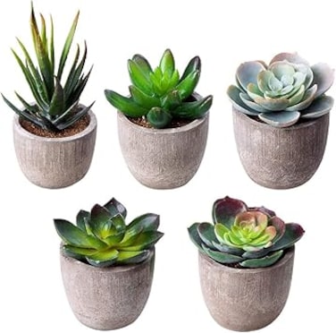 Funito Artificial Succulent Plants, Assorted Decorative Faux Succulent Potted Fake Cactus Cacti Plants with Gray Pots, Set of 5