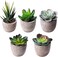 Funito Artificial Succulent Plants, Assorted Decorative Faux Succulent Potted Fake Cactus Cacti Plants with Gray Pots, Set of 5