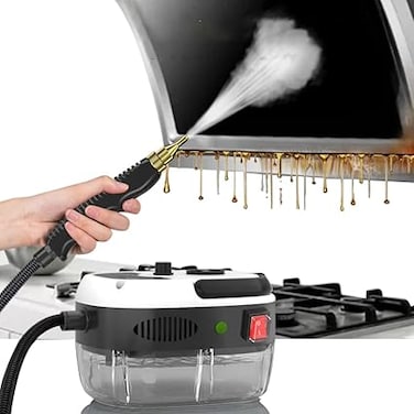 BAUSATZ Steam Cleaner for Home Use Handheld Steamer for Car Detailing Portable Steamer for Cleaning Hand Held Steamer 2500W (British Regulations)