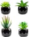 Canirologas Artificial Plants Indoor in Pots, Artificial Plants Outdoors, Mini Black Ceramic Green Succulents Aesthetic Desk Plant for Bathroom, Living Room, Office (4)