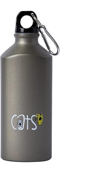 Biggdesign Aluminum Water Bottle, Insulated Thermos Water Bottle With Lid and Carabiner Clip, BPA Free and Leak Proof, Cats Design, 20 oz (600 Ml) (Cats)