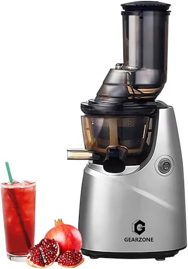 GearZone Silver Masticating Juicer Cold Pressed Juicers, High Juice Yield for Fruits
