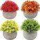 Gluckluz Artificial Potted Plants Mini Fake Topiary Shrub Plants Set Small Faux Plastic Bonsai Greenery with Paper Pulp Pot for Home Office Desktop Bookshelf Balcony Outdoor Indoor Decor (4 Packs)