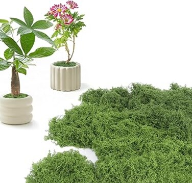 KOWVOWZ Artificial Moss, 100g Outdoor Faux Moss Artificial Plants, Odourless Colourfast Preserved Moss, Lifelike Natural Green Faux Moss Decorative Moss for Home, Garden, Patio