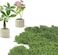 KOWVOWZ Artificial Moss, 100g Outdoor Faux Moss Artificial Plants, Odourless Colourfast Preserved Moss, Lifelike Natural Green Faux Moss Decorative Moss for Home, Garden, Patio