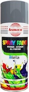 Spray Paint (GREY)