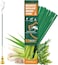 BananaHome 60pcs Mosquito Repellent Citronella Incense Sticks with Holder,Natural Plant Ingredients Citronella Oil Lemongrass Rosemary Oil,DEET Free Repellent Outdoor (Citronella Incense Sticks)