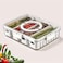 CENXI Salad Bar Containers for Fridge with Lid and Handle, Fruit Storage Containers with 4 Removable Colanders, Berry Box Fresh Produce Saver for Fruit, Veggie, Refrigerator, Kitchen, Picnic