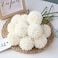 HoYuanFlo Artificial Flowers Chrysanthemum Ball Flowers Bouquet 10pcs Present for Important People Glorious Moral for Home Office Coffee House Parties and Wedding(Milk White)