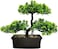Funito Artificial Bonsai Tree Juniper Faux Plants Indoor Small Fake Plants Decor with Ceramic Pots for Home Table Office Desk Bathroom Shelf Bedroom Living Room Farmhouse Decorations