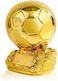 Golden Trophy Football Award, World Cup Gold Boot Trophy Ball Resin Replica Soccer Champion Souvenir Trophies for Fans Awards Sports Tournaments Competitions School Honor Game Memorial Gifts, 21x15cm