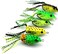 5pcs Color Bait Ray Frog Set 18.9g Artificial Fishing Lure