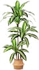 Kazeila Artificial Plants,150cm Dracaena Tree Faux Plant Indoor Outdoor Decor Fake Tree with Woven Seagrass Basket Plants for Home Decor Office Living Room