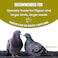 Egardenkart Bird Food Mix for Pigeon - 1kg