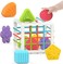 Montessori Toys for 1 Year Old,Baby Sorter Toy Colorful Cube and 6 Pcs Multi Sensory Shape, Toddler Developmental Learning Toys Birthday Gifts,Baby Toys 6-12-18 Months