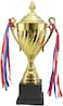 Gold Trophy Metal Trophy Awards Cup Trophy for Sport Tournaments Competitions School Honor Game 35.5cm