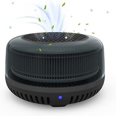 QUEENTY Small Air Purifier, Car Air Purifier Ionizer with True H13 HEPA Filter, USB Quiet Desktop Air Purifiers for Bedroom,Car, Small Room, Pets (Black)