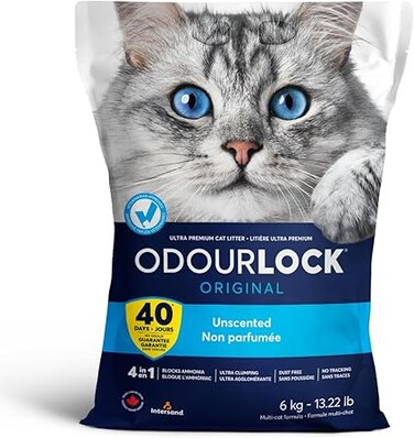 Intersand Odourlock Premium Clumping Cat Litter - 6kg