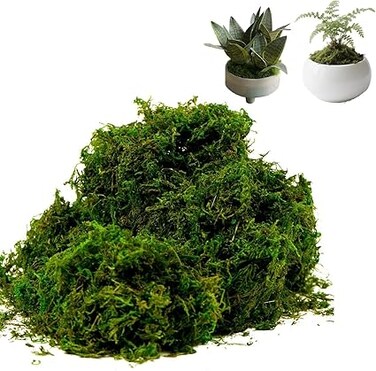 Ctoby Artificial Moss,7.05OZ Fake Green Moss for Potted Plants,Moss Decor Artificial Faux mos,Crafts Preserved Moss for DIY Decorative Moss Table Centerpieces Decor Fairy Garden Floral Wedding
