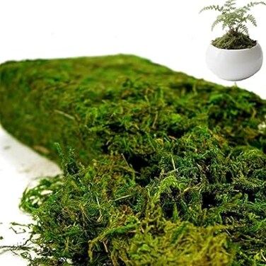 Fake Moss 7OZ Faux Moss for Plants Indoor Fake Green Moss for Potted Plants,For Landscape Premium Faux Green Grass,Home &amp; Kitchen, DIY Crafts Artificial Moss Garden Floral Wedding