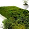 Fake Moss 7OZ Faux Moss for Plants Indoor Fake Green Moss for Potted Plants,For Landscape Premium Faux Green Grass,Home &amp; Kitchen, DIY Crafts Artificial Moss Garden Floral Wedding