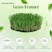Egardenkart, Artificial Grass Carpet - GreenBrown, 36mm (200x300cm)