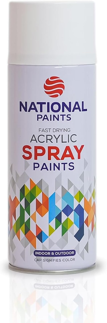 Paints Fast Drying  Spray Paint - Matt White 801