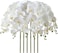 FagusHome 32" Artificial Phalaenopsis Flowers 6 Pcs Artificial Orchid Flowers Stem Plants for Home D&eacute;cor (6Pcs)