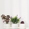 3 in 1 Small Fake Plants Artificial Plants in White Pot for Home Bedroom Living Room Bathroom Office Decor Indoor