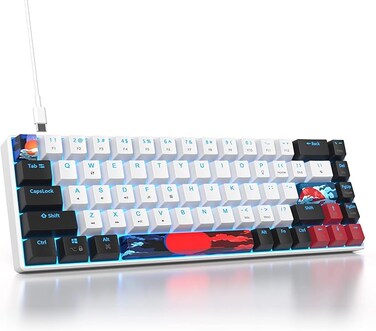 60 Percent Gaming Keyboard 68 Keys Mechanical Keyboard LED Backlit Compact Wired Keyboard with Red Switch for Windows PS4/5 Xbox Gamer(Black-White)