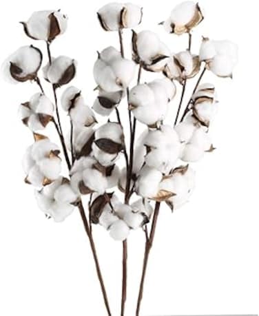 GTIDEA 3 Pack Cotton Stems 30 Balls Cotton Flowers Plant Natural Dried Floral Arrangement for Farmhouse Home Table Vase Filler Party DIY Wreath Decor (22 Inch)