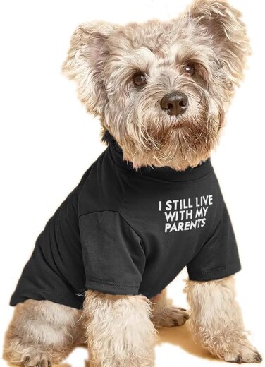 Dog T Shirt for Medium Dogs.Dog Clothes for Small Dogs Girl Boy,Puppy.Breathable Soft Dog Costume Pet Dogs Cats,Pet Pullover Jumper,Cat Clothes (M-(7~11lb),Chest~16",Black,Parents)