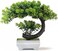 yoerm Small Artificial Bonsai Tree Desk Decor Fake Plants, Tall 8.5
