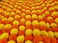 DECORATION CRAFT &ldquo;Premium Quality&rdquo; 5 Pack Orange &amp; Yellow Artificial Marigold Flower Garlands 5 Ft Long Each for Parties Indian Weddings Theme &amp; Home Decoration Photo Prop Diwali Festival
