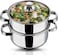 Stainless Steel 2-Tier Steamer &ndash; 20cm   Vegetable, Momo Steamer with Glass Lid, Sturdy Handle, Induction &amp; Gas Friendly &ndash; Perfect for Couscous, Dumplings &amp; Rice Dishes