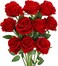 Luyue 10 Pack Artificial Red Rose Flower Fake Silk Roses with Stem Flowers Bouquet Wedding Party Home Decor(Red)