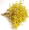Birtlynn Preserved Baby's Breath 3 Bunches, 100% Natrual Fresh Gypsophila Long Lasting Flowers for Vase Arrangements Home Decoration Photo Props Parties and Weddings, DIY D&eacute;cor-Yellow