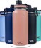 S2C Stainless Steel Water Bottle 1L,32oz Double Wall Vacuum Insulated Water Bottle, BPA Free for Kids School with Spout Lid - Thermos Water Flask for Hot Water (ROSE PINK)