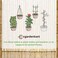 Egardenkart, Bamboo Sticks for Plants - 60cm, 5pcs   Plant Support Stakes   24-16mm, Plant Support Pole   Durable Plant Stick for for Flowers, Vegetables, and Creepers   Garden Sticks (5pcs, 60cm)