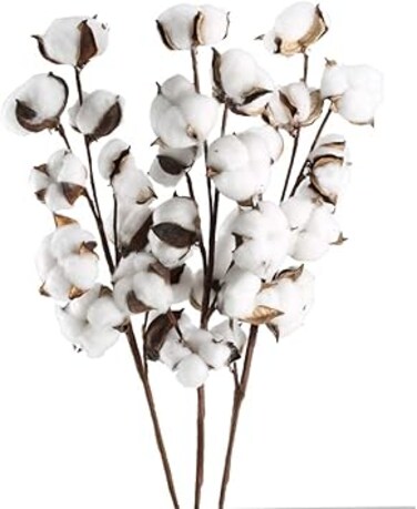 GTIDEA 3 Pack Cotton Stems 30 Balls Cotton Flowers Plant Natural Dried Floral Arrangement for Farmhouse Home Table Vase Filler Party DIY Wreath Decor (22 Inch)