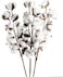 GTIDEA 3 Pack Cotton Stems 30 Balls Cotton Flowers Plant Natural Dried Floral Arrangement for Farmhouse Home Table Vase Filler Party DIY Wreath Decor (22 Inch)
