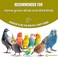 Egardenkart Small Bird Seed Mix For Budgies &amp; Finches Suitable for Wild Birds 10KG