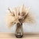 SKY-TOUCH Natural Dried Pampas Grass Bouquet : Brown White Reed Pampas Floral Arrangements Decorations for Home Room Office Party Decor (60PCS)