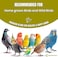 Egardenkart Small Bird Seed Mix For Budgies &amp; Finches Suitable for Wild Birds 8KG